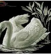 RTO M211 Swan