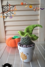 Halloween hat