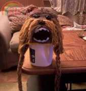 Doptera Designs - Chewy Hat