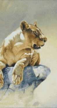 Serenity by Anastasia Fomina/ Asya Fayvel- xsd