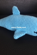 Dolphin