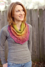 Zuzus Petals Shawlette by Carina Spencer