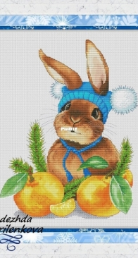 Christmas Bunny by Nadezhda Gavrilenkova