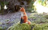 Red Fox by Sara E. Kellner - Rabbit Hole Knits, English