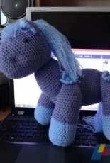 horse - rag horse