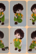 bully boy