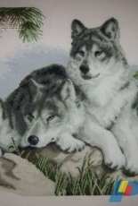 Charivna Mit A-149 Wolves-XSD