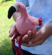 Flamingo by Susan B. Anderson-Free