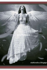 Chimera - Angel