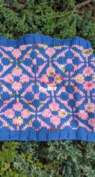 Tigele Cowl by Vikki Perkins -