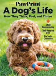 Pawprint Special Edition - A Dog's Life - 2026