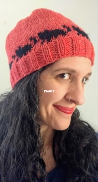Study in Cats, part 2  Beanie by Hook Mountain Handmade--Free