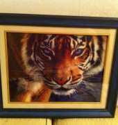 My Kustom Krafts 35017, 35027