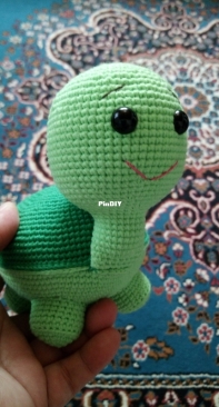 Cute turtle