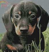 Artecy Cross Stitch - Dachound