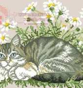 Eva Rosenstand 14-088 Resting cat