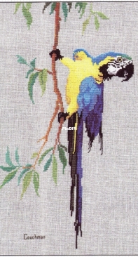 Couchman Creations CC037 - Macaw