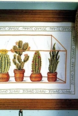 Pots of Cactus from Le Idee di Susanna 143 February 2001 PCS