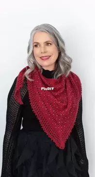 Cranberry Fizz Shawl