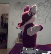 herr Fuchs vom Sandman