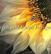 HAED HAERGSD 2581 - Sunflower Bee
