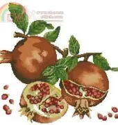 Granadas / Pomegranate