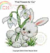 Ellen Maurer Stroh EMS - First Flowers for You