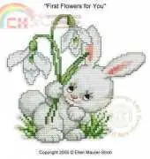 Ellen Maurer Stroh EMS - First Flowers for You