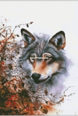 Hunting by Chimera