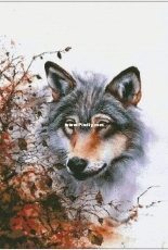 Hunting by Chimera