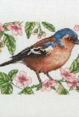 Anchor PCE203 Chaffinch