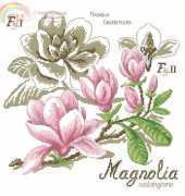 Études de botanique - Magnolia from DFEA HS 27 and DFEA HS 28