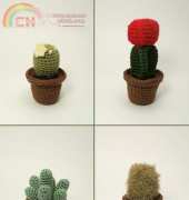 Planet June - June Gilbank - Cactus Collection 1