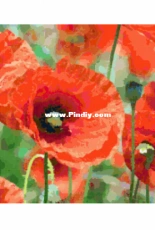 Better Cross Stitch - Field of Poppies - Free