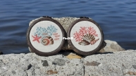 Seashells