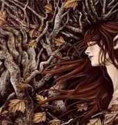 HAED HAEMP206 Autumn Splendor