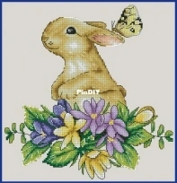 Rabbit by Anastasia Soloshenko XSD