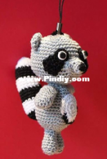racoon