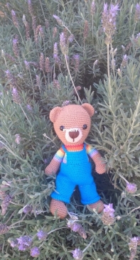 Teddy