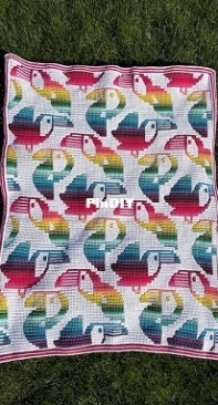 Toucan do it!- Anke Wintermans/CrazyCrochetCatladyA - English