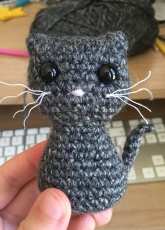 Lil kitty