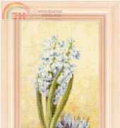 FIORI 42