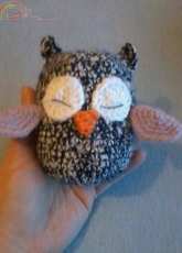 Sleeping owl