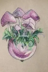 Mushrooms in a vase by Alisa Okneas
