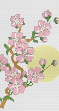 DMC - Cherry Branch XSD