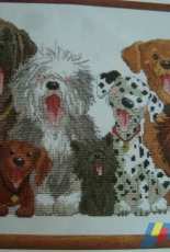 Grupo de perritos