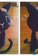 My black cat