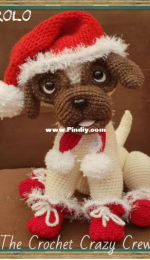 The Crochet Crazy Crew - Tracey Denise - Rolo