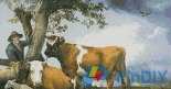 Artecy Cross Stitch - Paulus Potter - The Bull