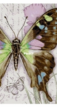 Chimera - Butterfly Vintage 11 by Jane Shasky PCS